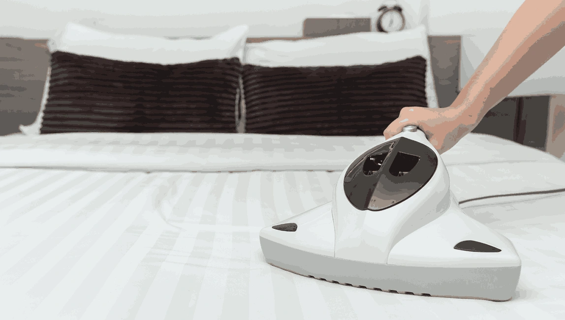 Professional Mattress Cleaning Mill Park